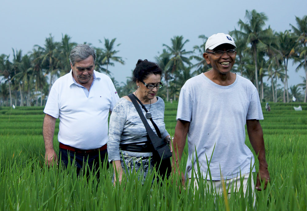 Rice Field Trekking arranged by Bali Budaya.